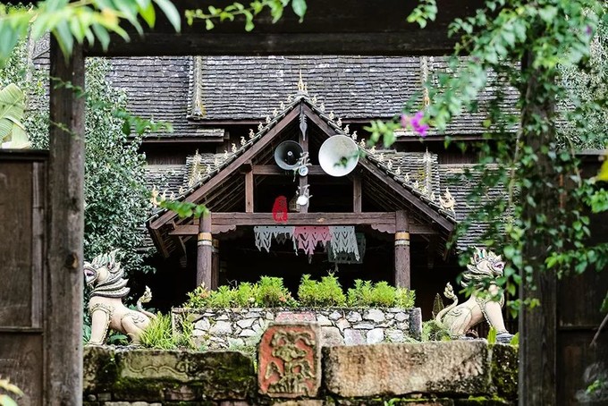 生活在千年古寨里的普洱茶農(nóng)，真正的“茶祖宗”在這里