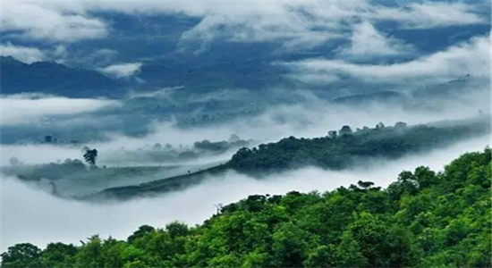 普洱獎(jiǎng)勵(lì)旅游線路推薦--景邁山兩日游線路攻略