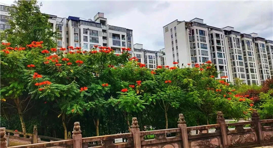 普洱旅游