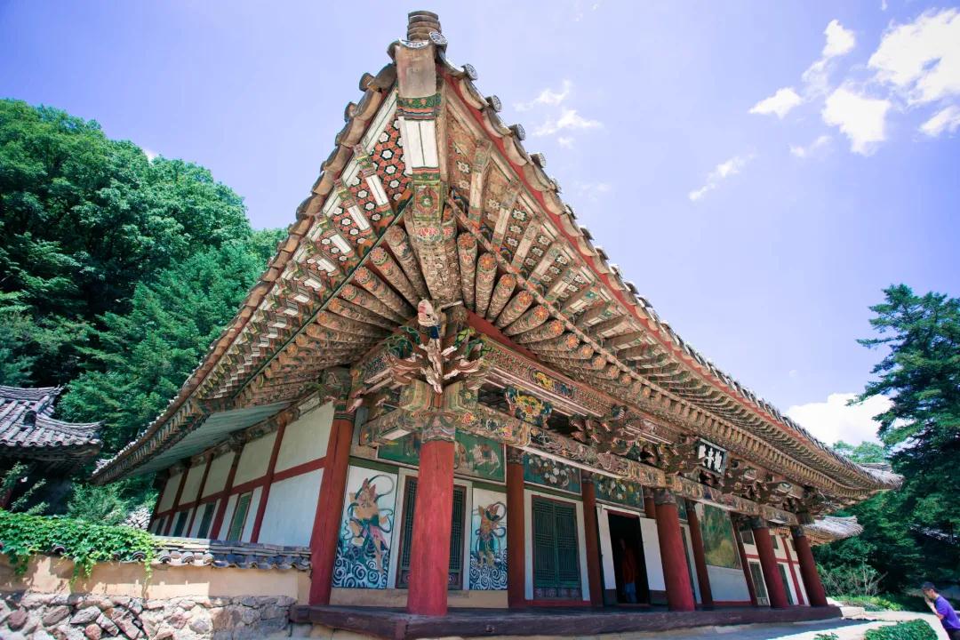 好不容易來(lái)一趟云南普洱，這10個(gè)景點(diǎn)會(huì)帶給你驚喜！普洱傳媒公司