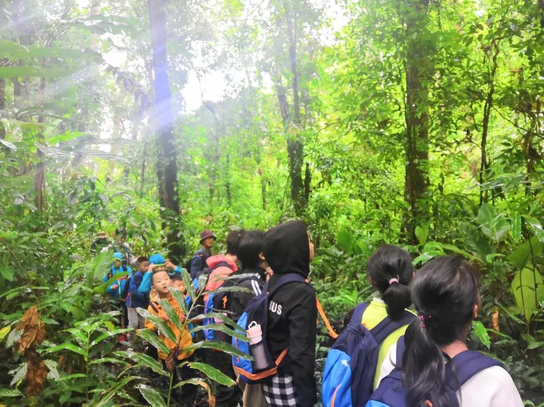 普洱太陽河國家森林公園