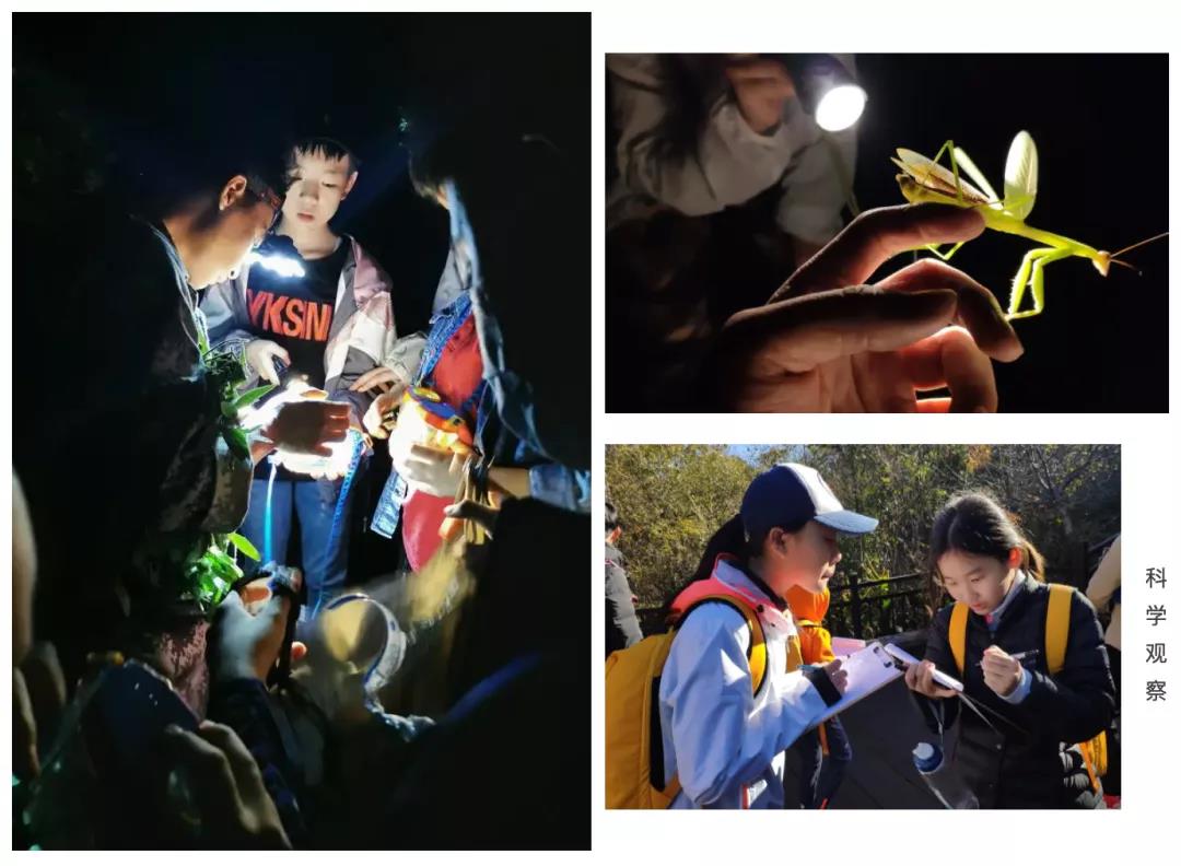 普洱太陽河國家森林公園