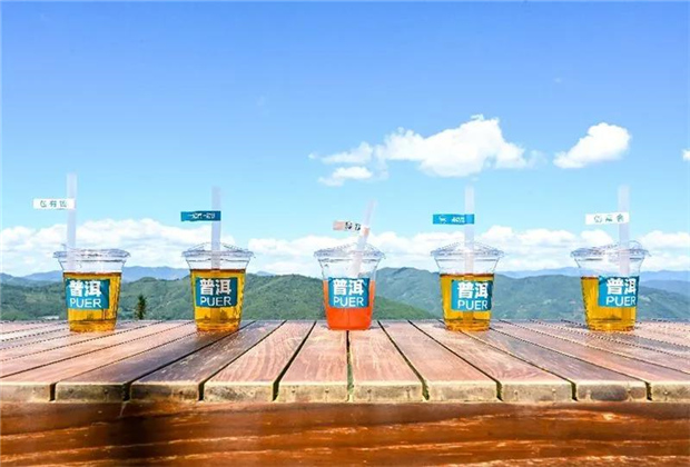“云海之上”的“皮卡之旅”，駛進(jìn)天賜普洱！
