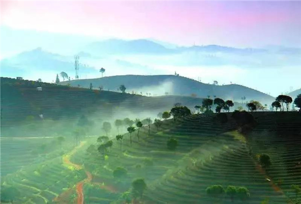 流霞清風(fēng)，云卷云舒......仲夏的普洱茶博覽苑美到了極致！