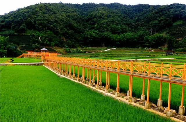 普洱定制旅游：【玩場(chǎng)】孟連賀哈美在哪？
