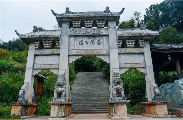 “坐上火車”去感受普洱秀麗的山水與燦爛的茶馬文化吧！