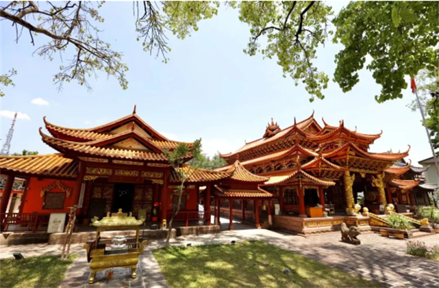 天賜普洱，世界茶園，小編帶你一卡打盡普洱特色景點(diǎn)！