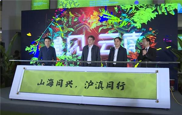 普洱活動策劃