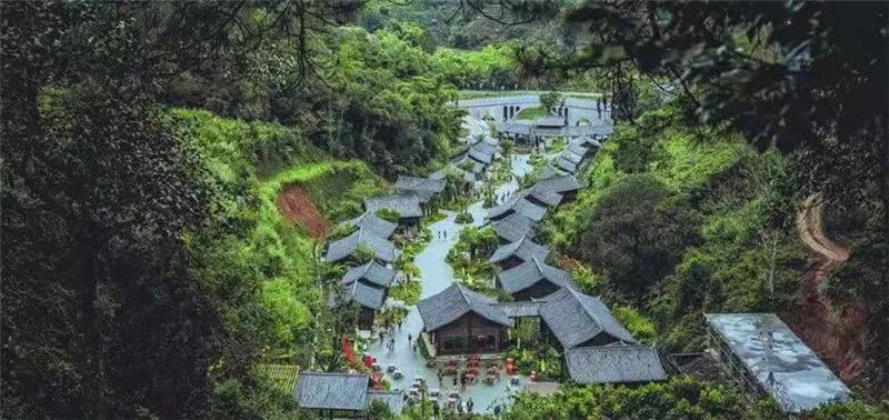 普洱特色團建，浪漫茶旅+美食精品兩日游經(jīng)典線路推薦