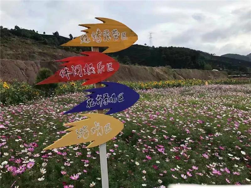 普洱特色團建，浪漫茶旅+美食精品兩日游經(jīng)典線路推薦