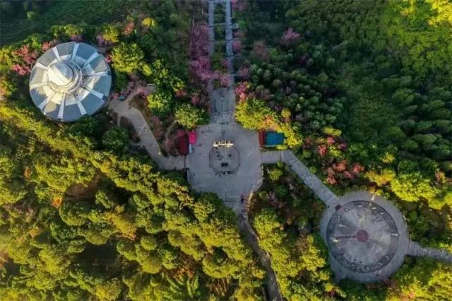 普洱特色團建