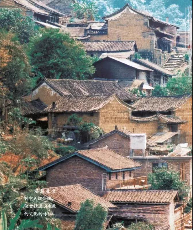 普洱特色團(tuán)建-古茶山行