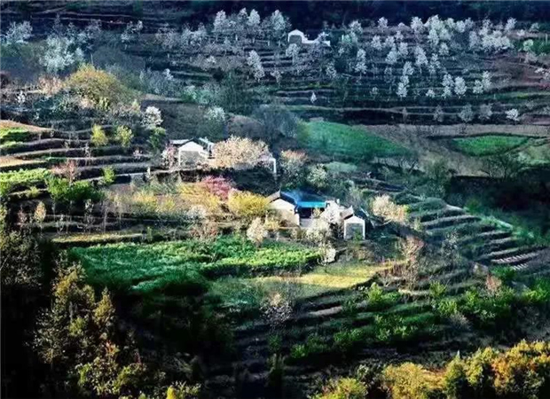 普洱定制旅游：夏日的黃草嶺小村，美成了一首長(zhǎng)詩(shī)！