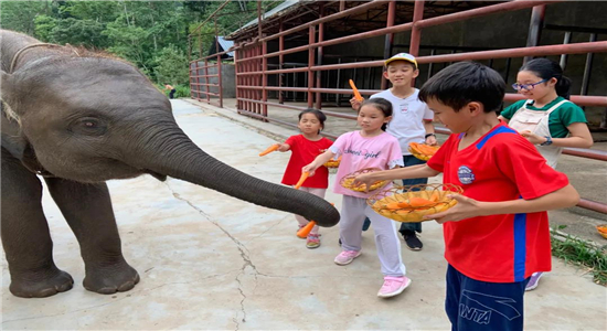普洱旅游