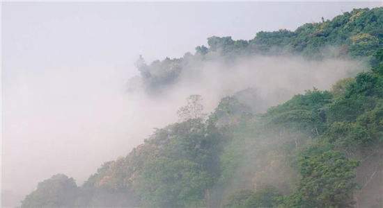 普洱旅游