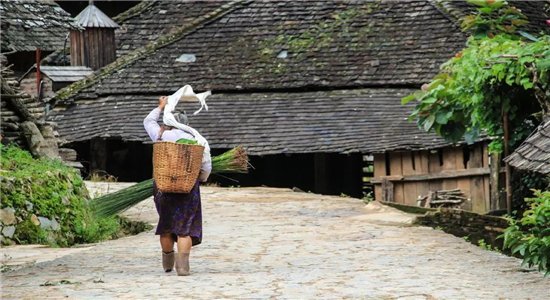 普洱旅游
