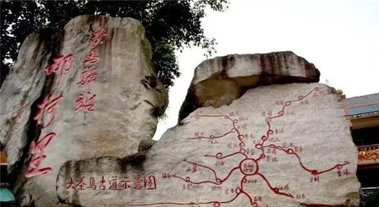 普洱研學(xué)