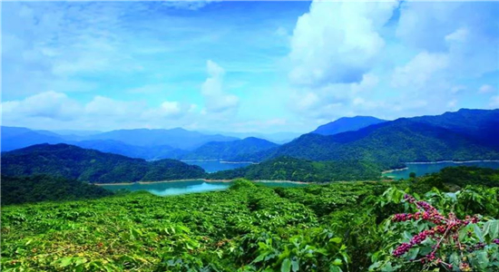 普洱旅游
