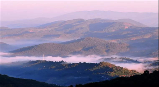 云南冬令營(yíng)推薦:2022年冬令營(yíng),昆明普洱西雙版納一站式研學(xué),穿越茶馬古道,品鑒云南咖啡