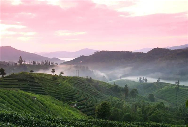 普洱定制旅游：【美景】暖冬，在普洱茶山讀云霧！