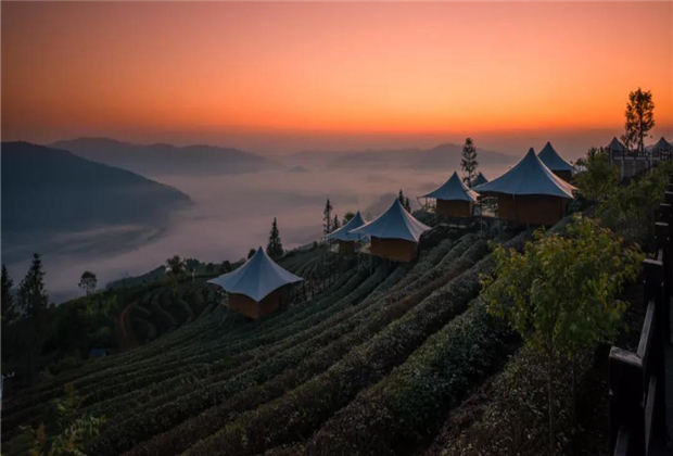 普洱定制旅游：倚象山的茶里、風里、云里、霧里，有你期待的詩和遠方！