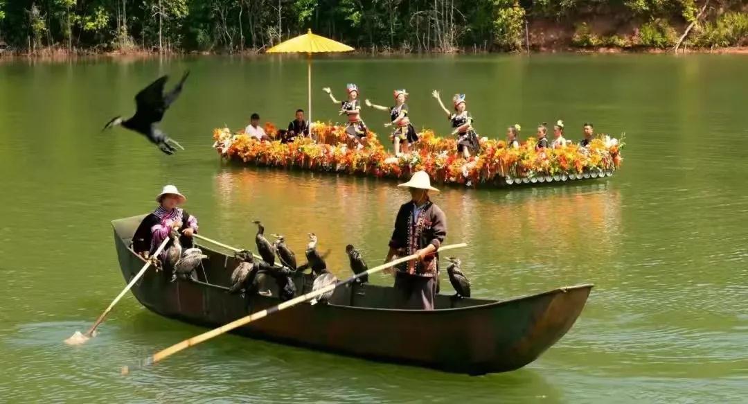魚(yú)鷹捕魚(yú)表演