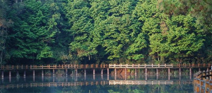 普洱開元梅子湖溫泉酒店