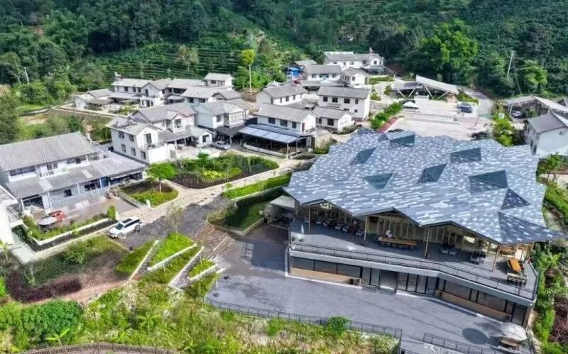 云南旅游,云南旅行社,云南團建公司,云南會議會展,云南團建策劃公司,普洱旅游,普洱旅行社,普洱團建公司,普洱會議公司：普洱文旅，靠什么拿捏旅居“流量密碼”？